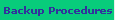 Backup Procedures